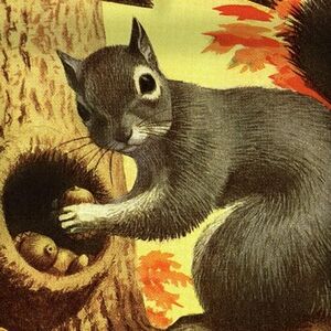 Meet your Posher, Squirreled Shop!